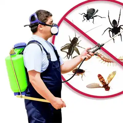 pest control Castleton-on-Hudson
